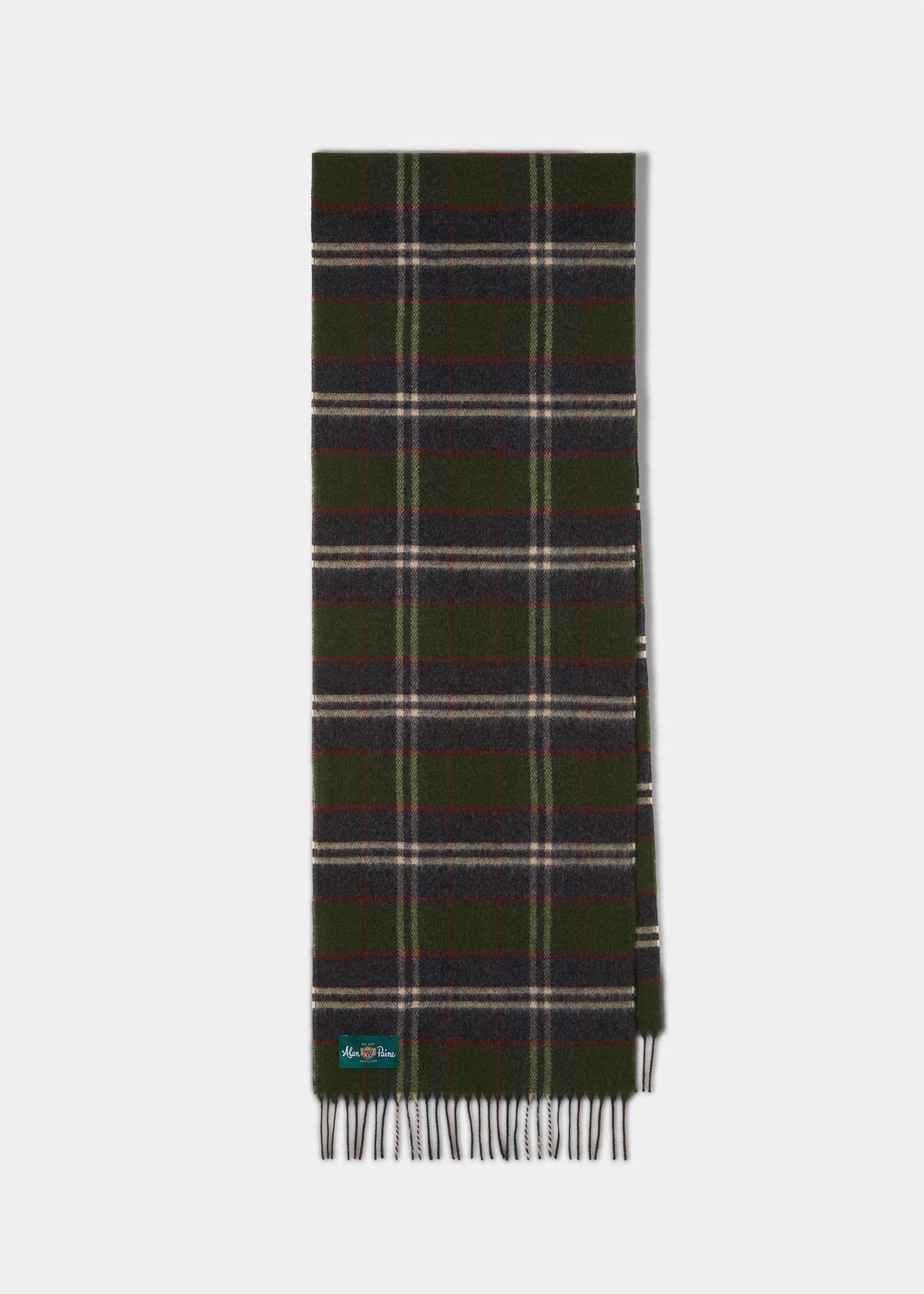 Lubmore Wool Plaid Scarf In Green