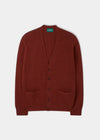 Cornwall Lambswool Cardigan in Sienna