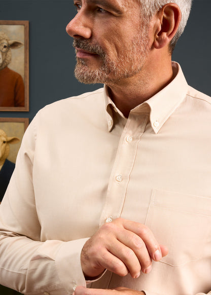 Men's Cotton Button Down Brown Shirt