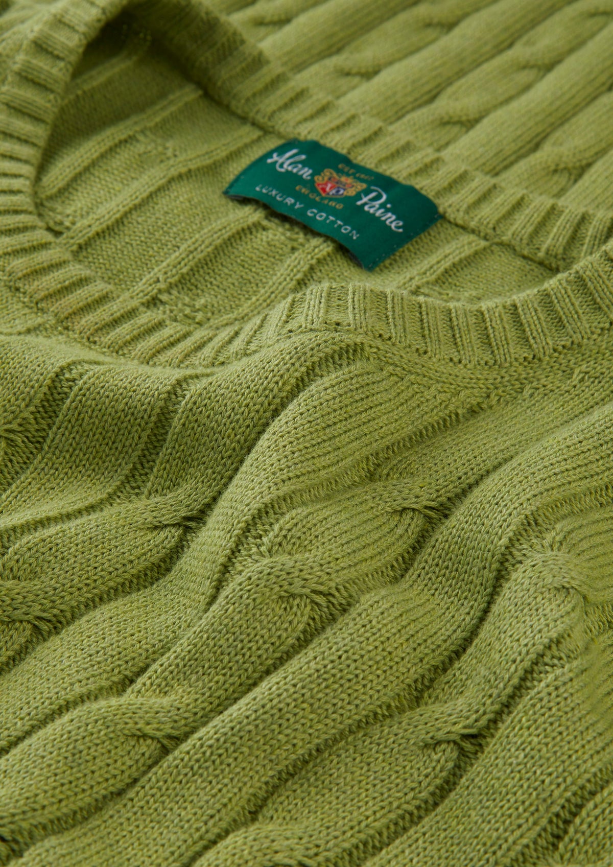 Men's Cotton Cashmere Crew Neck Jumper in Green