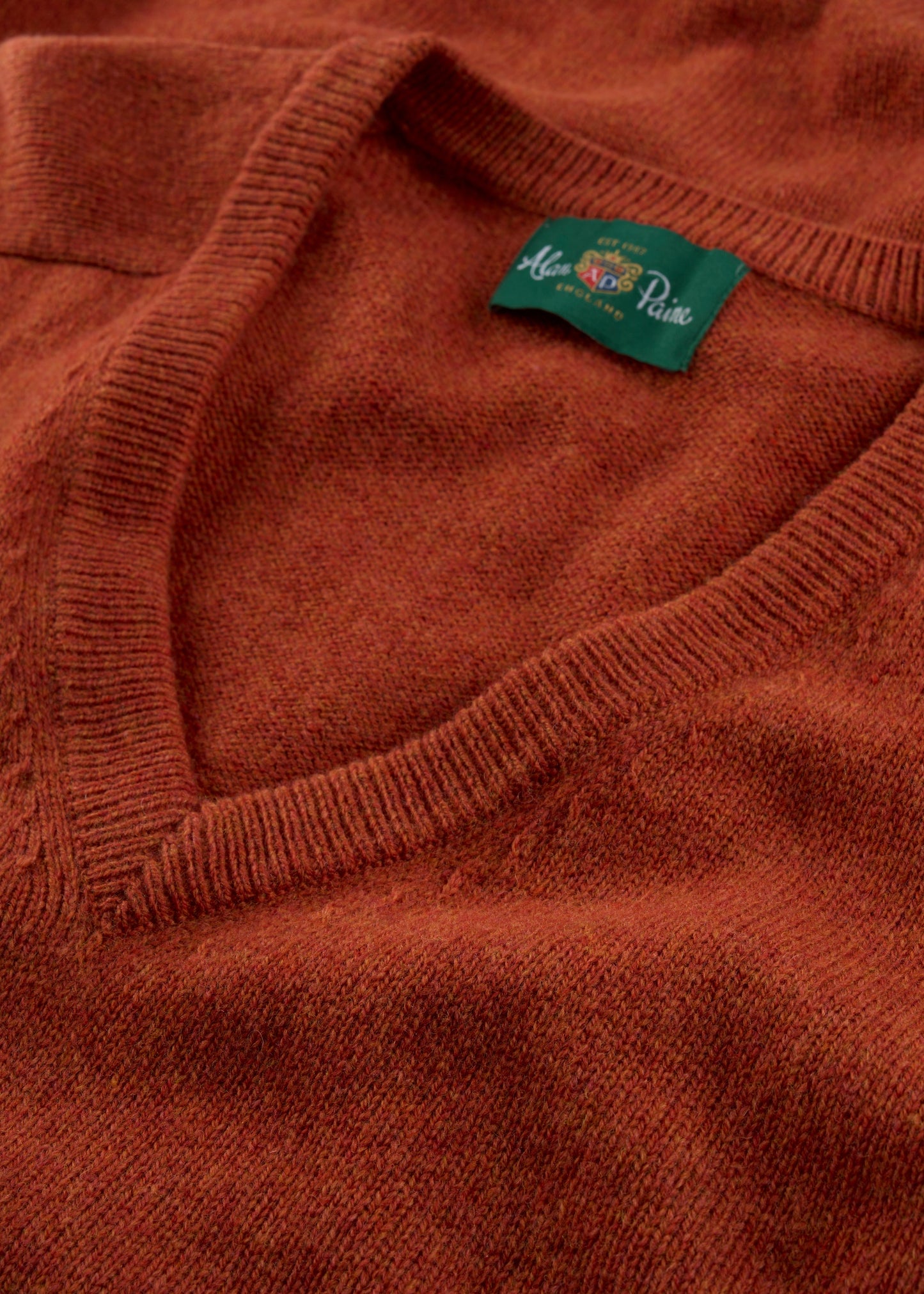 Men's Lambswool Vee Neck Jumper in Ember