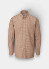 Alan Paine men's brown small check button-down shirt in soft cotton with a regular fit and classic collar.