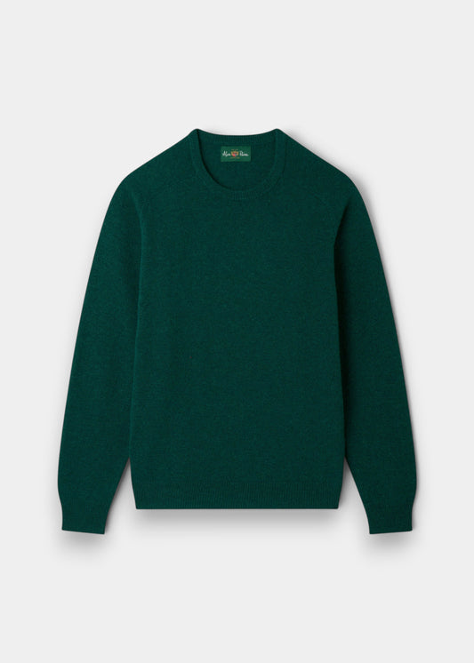 Alan Paine Lenzie men's crew neck jumper in mallard green lambswool with ribbed cuffs and hem.
